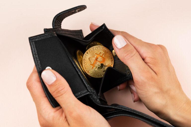 How To Build A Multi Currency Stablecoin Wallet